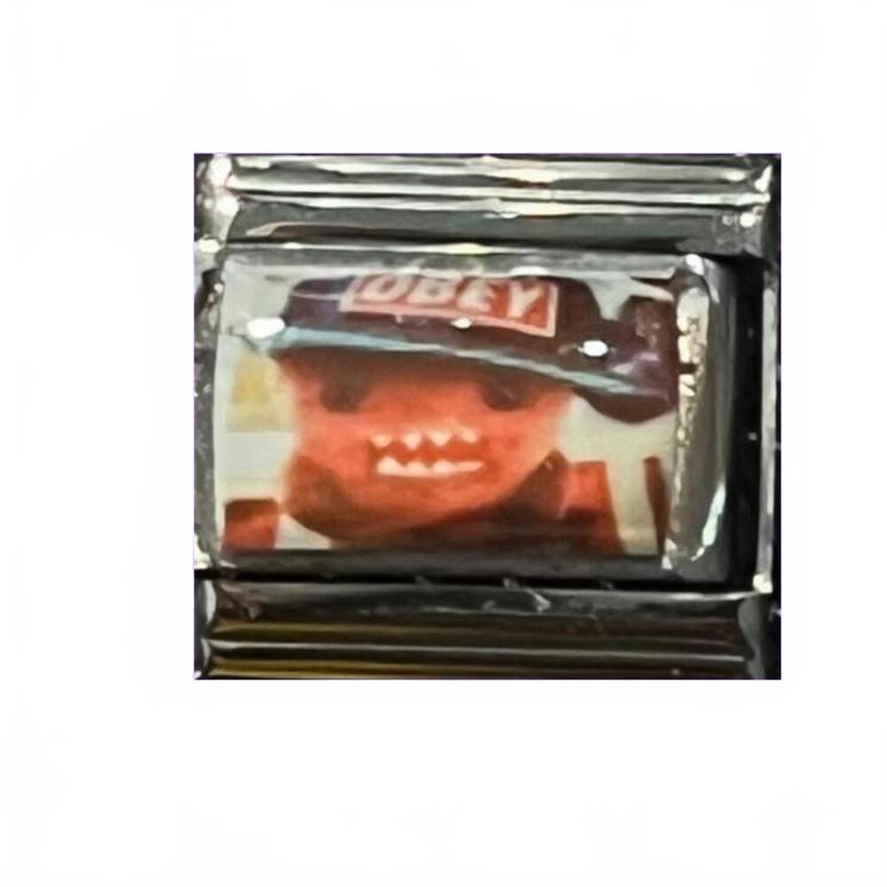 Obey swag domo charm